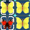 Butterfly Kyodai 2 – Kyodai Schmetterling